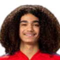 https://img.shsxhw.com/img/football/player/87359ed9061cfd73513d827263deebcd.png