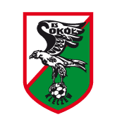 https://img.shsxhw.com/img/football/team/e6a8908dd206e2ea02d9803c82c60bba.png